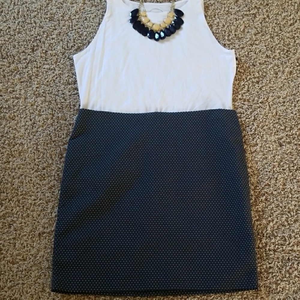 Kenar Seersucker Polka Dot Office Skirt Size 12